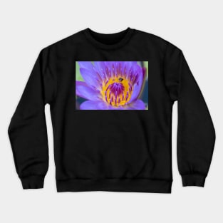 Waterlily and Native Bee Crewneck Sweatshirt